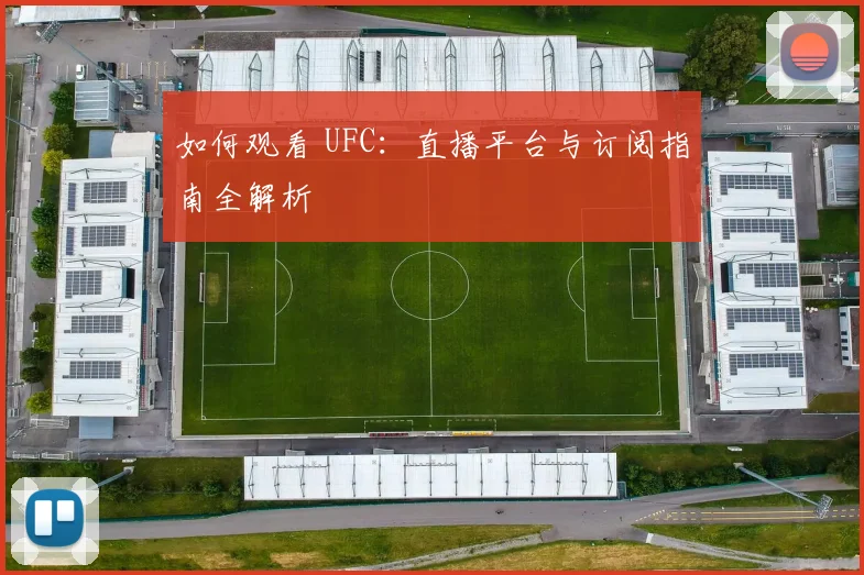 如何观看 UFC:直播平台与订阅指南全解析